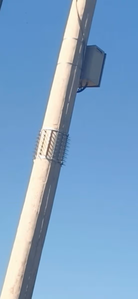 espinhos metálicos em poste