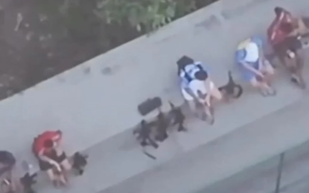 Curso de Drones para o Crime