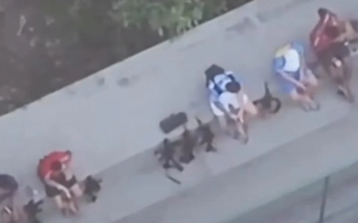 Curso de Drones para o Crime