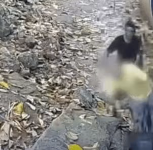 Bicicleta Roubada em Trilha no Pontal