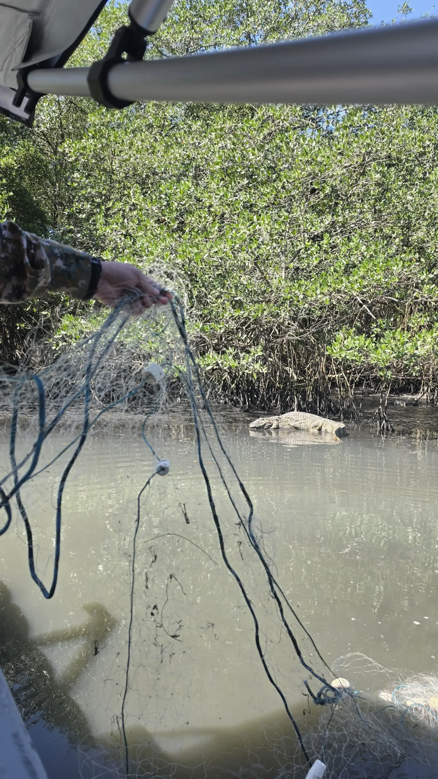 Pesca Ilegal