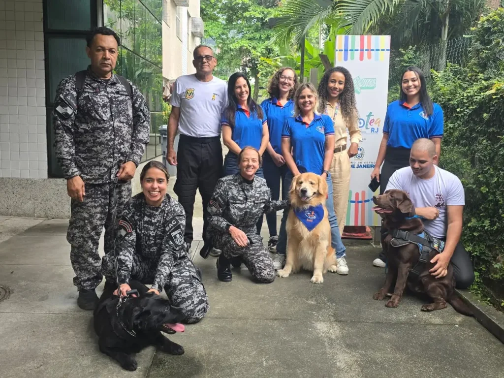 Terapias com cães