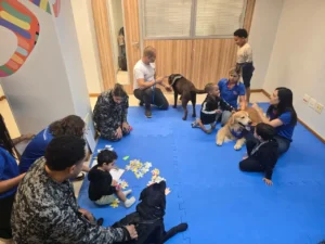 Terapias com cães