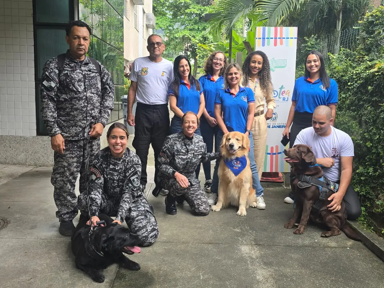 Terapias com cães
