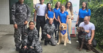 Terapias com cães